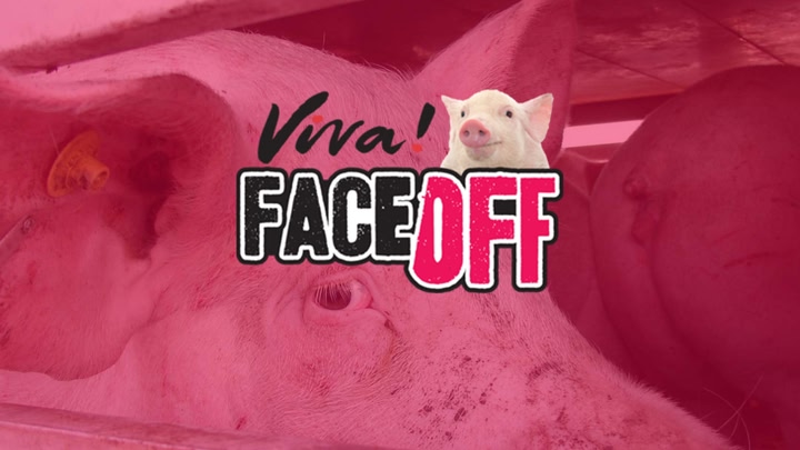 Viva! Face Off