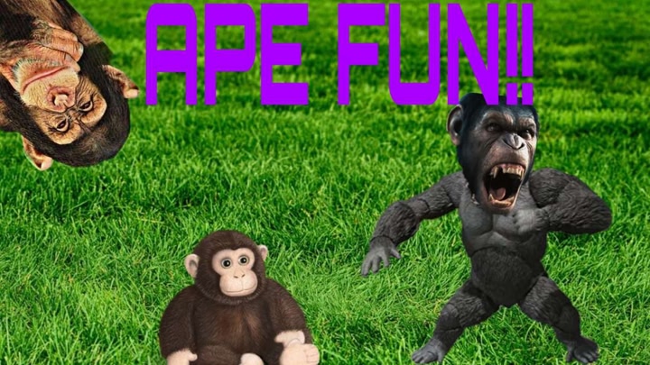 Ape Fun!