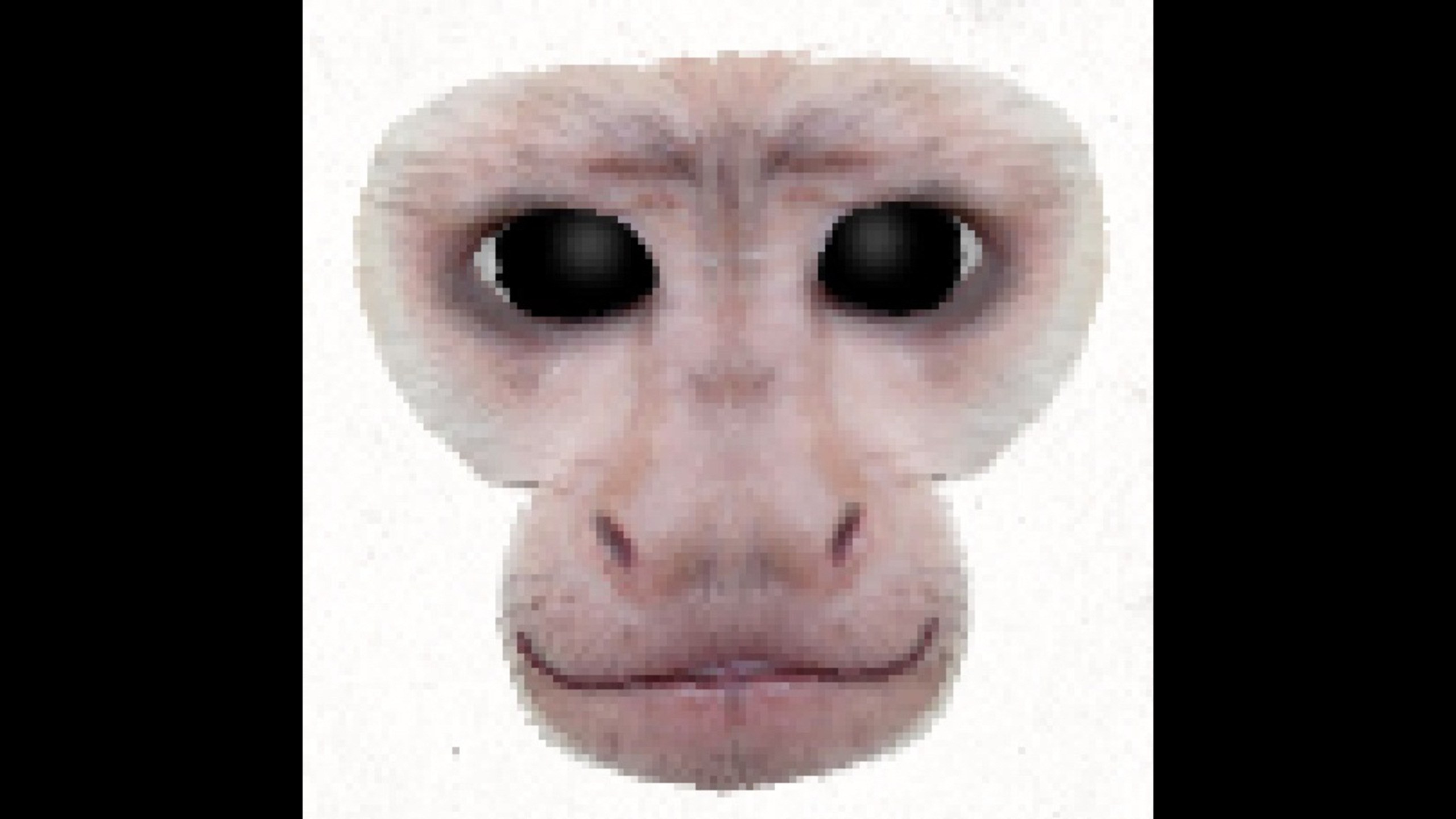 {"height":1440,"type":"image","width":2560}