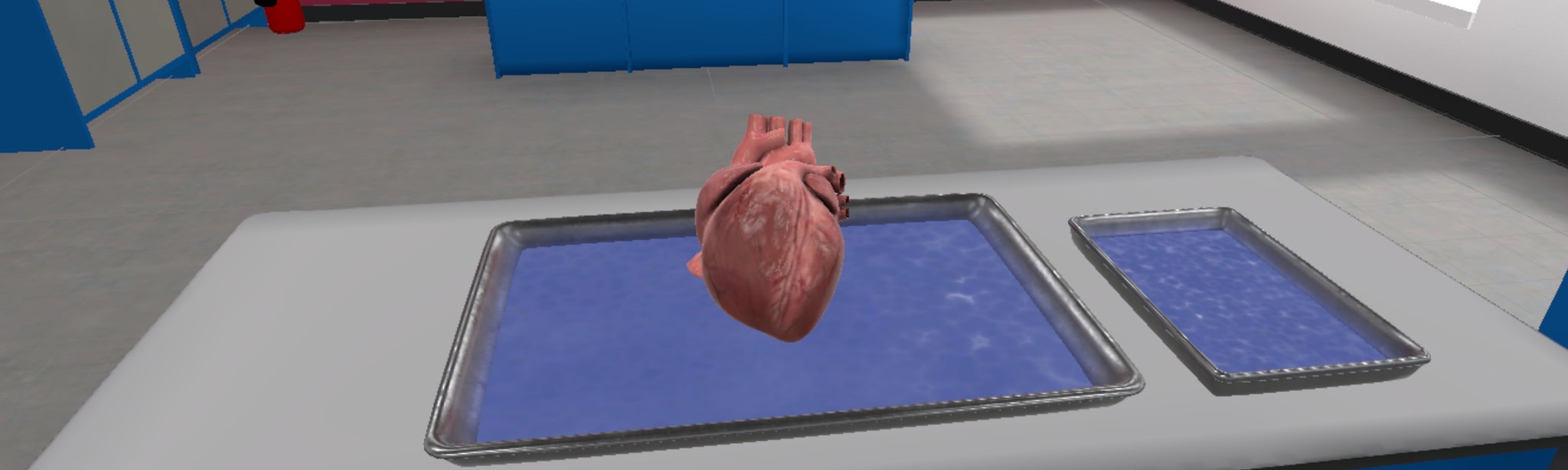 Dissection Simulator: Mammalian Organ Pack
