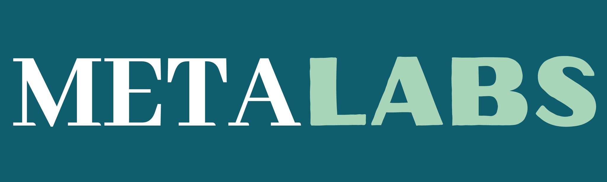 Meta Labs