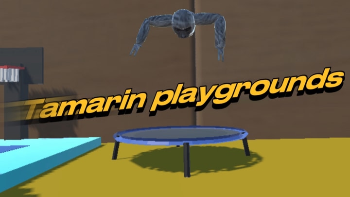 Tamarin PlayGrounds