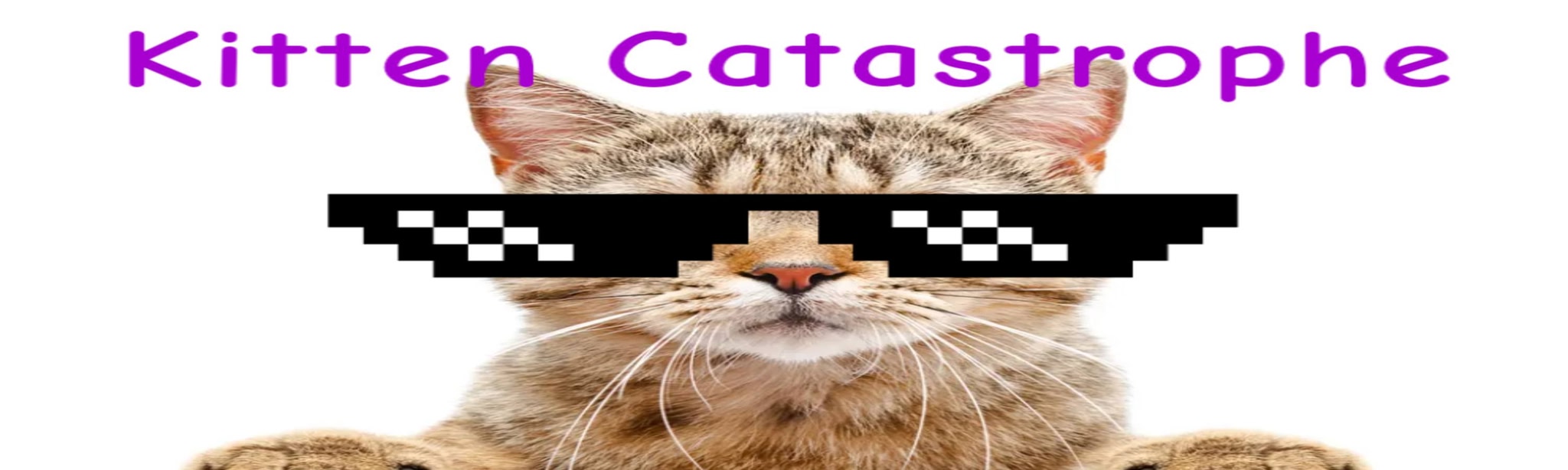 Kitten Catastrophe