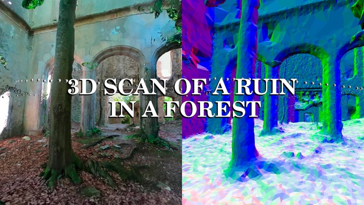 3D scan of a ruin in a forest