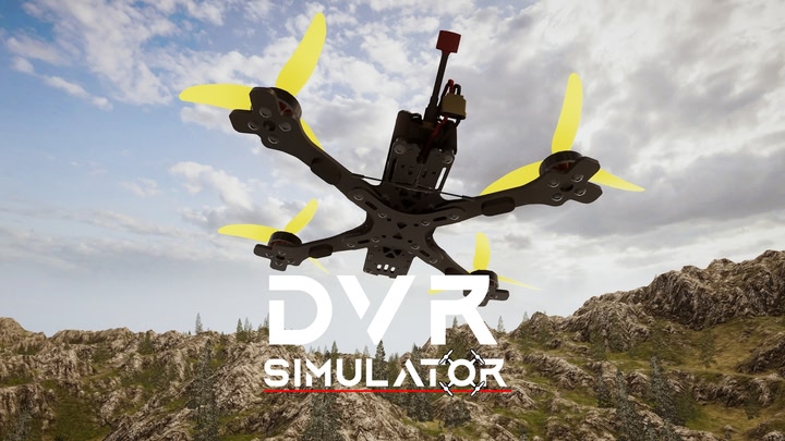 DVR Simulator