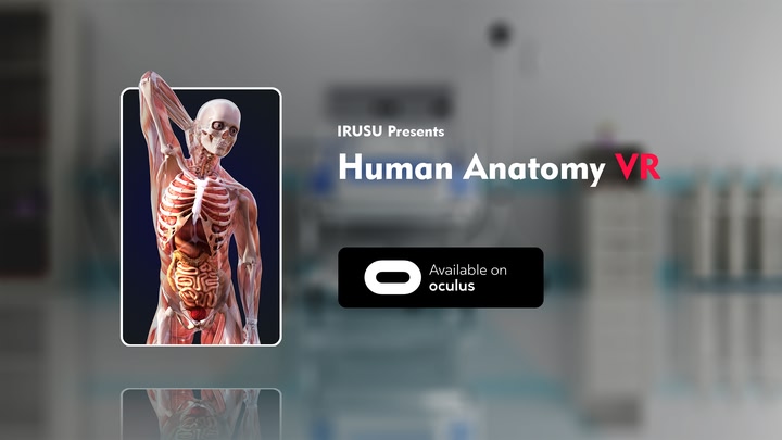 Human Anatomy VR – Medical Education