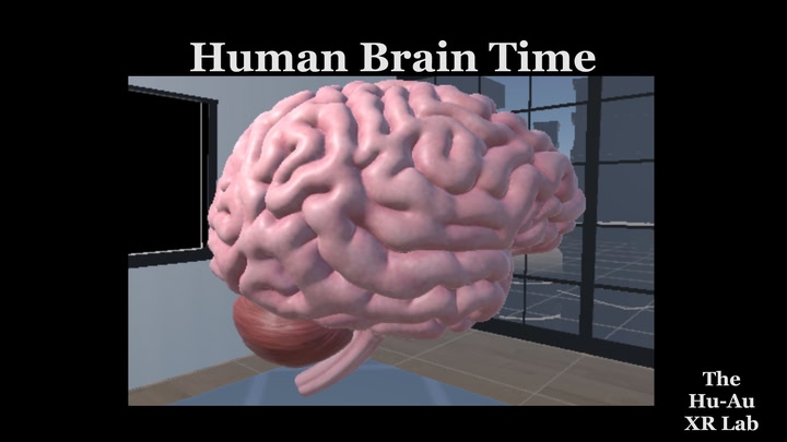 Human Brain Time