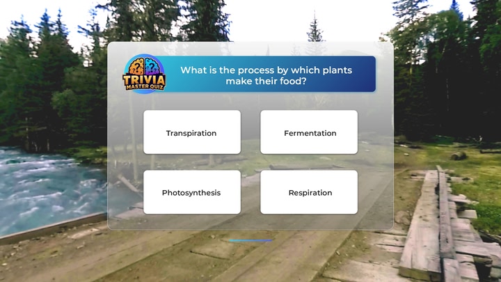 Trivia Master Quiz