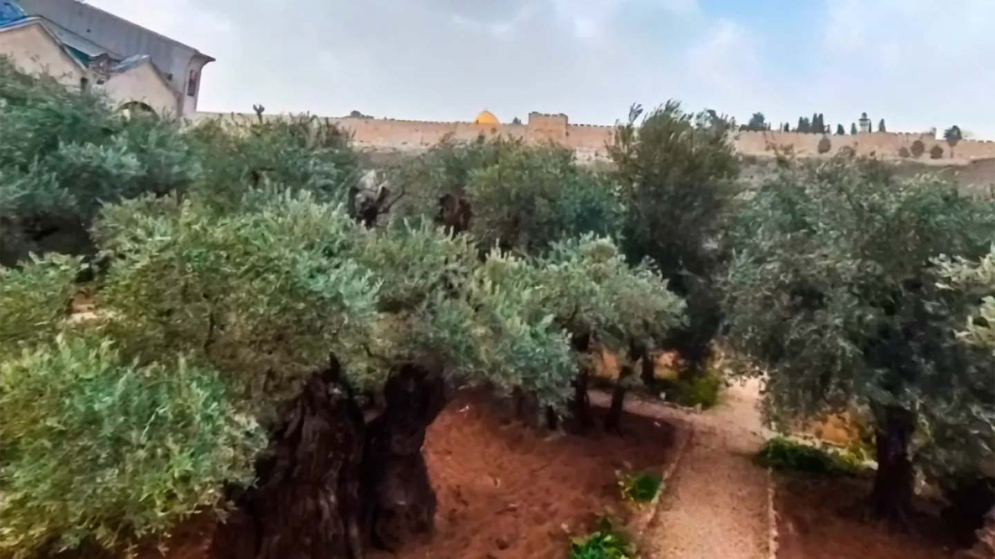 Holy Land Tours - Jerusalem