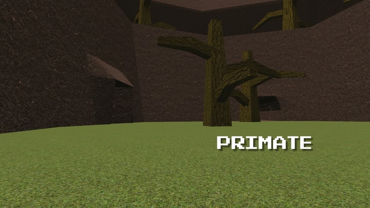 Primate