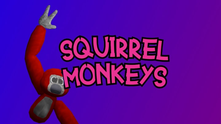 Squirrel Monkeys