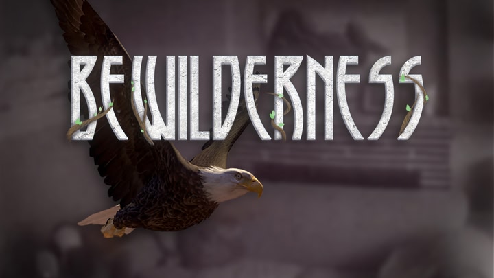 Bewilderness