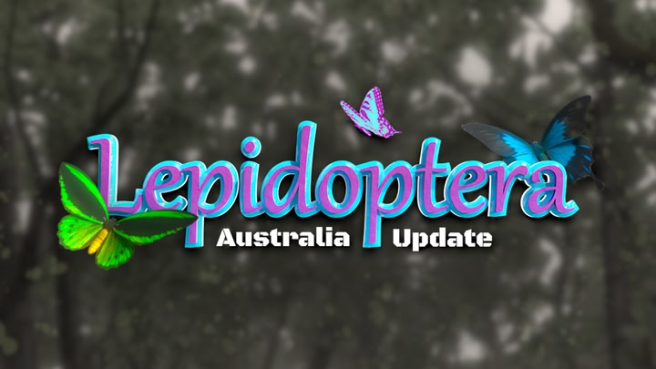 Lepidoptera