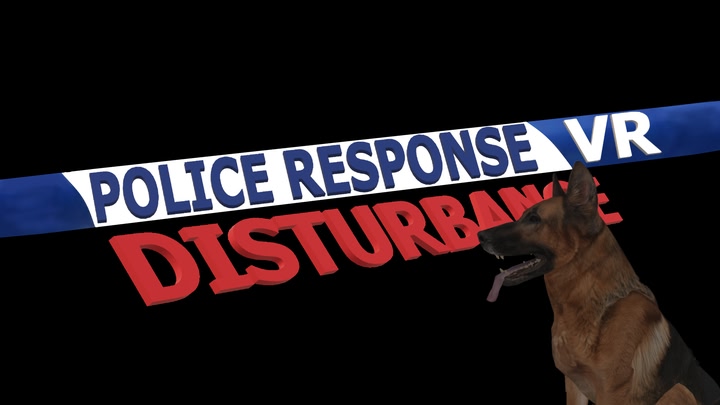 Police Response VR Disturbance