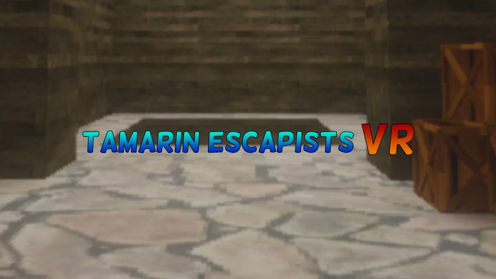 Tamarin Escapists VR