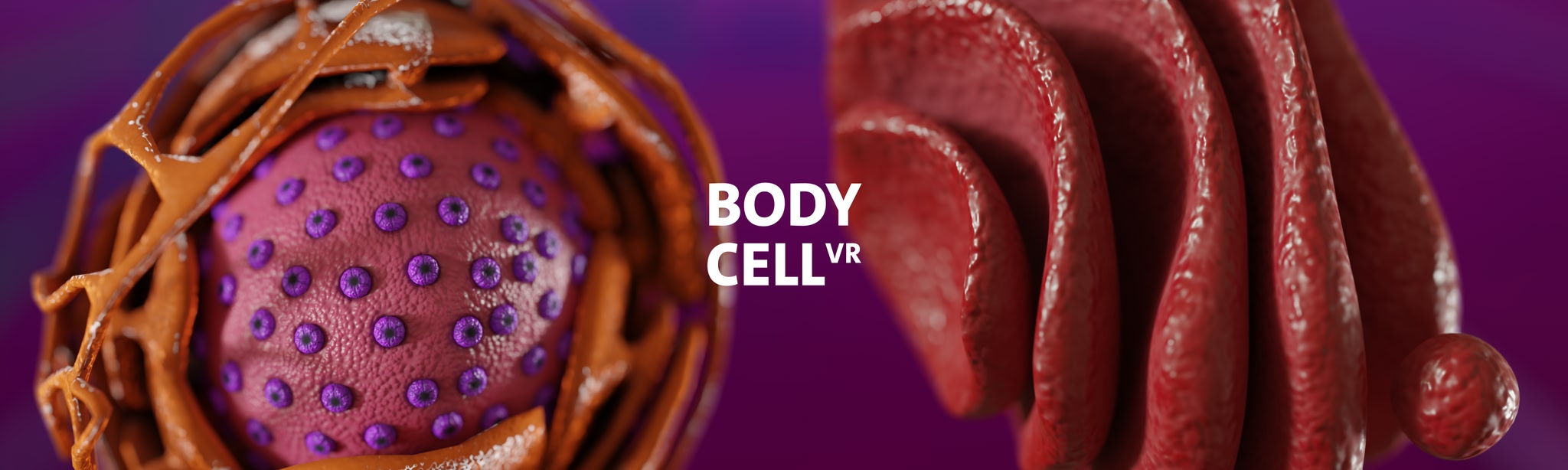 Body Cell VR