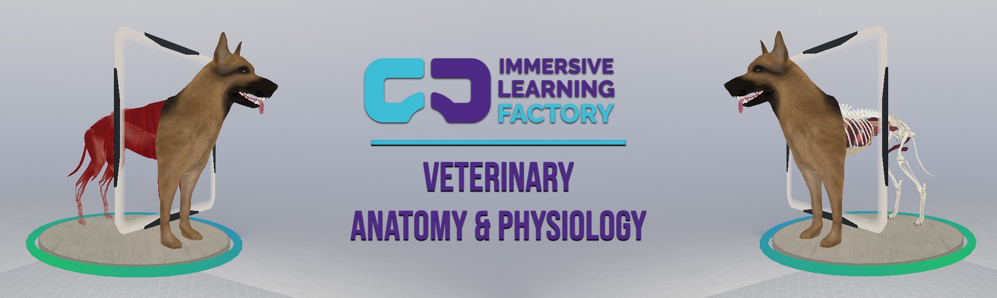 Veterinary Anatomy and Physiology