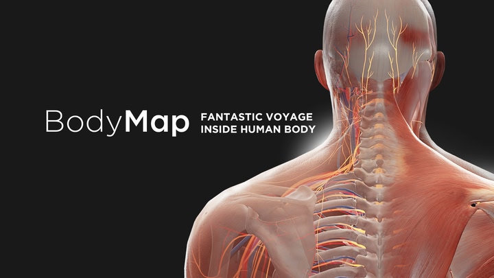 BodyMap for Anatomy and Medical Education