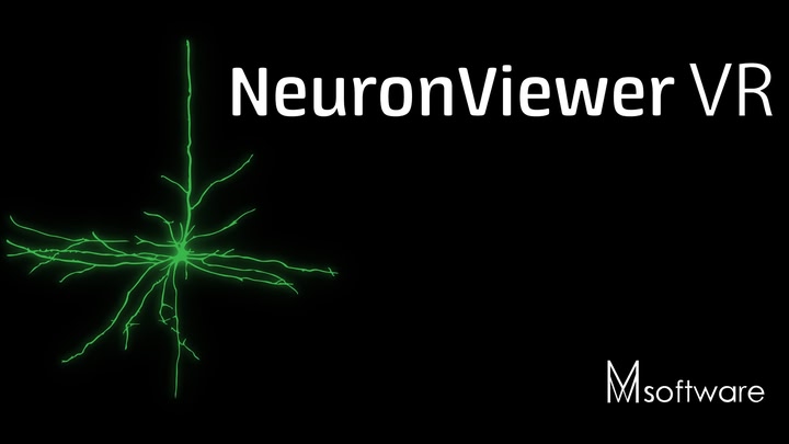 NeuronViewerVR