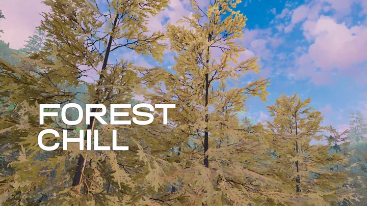 Forest Chill