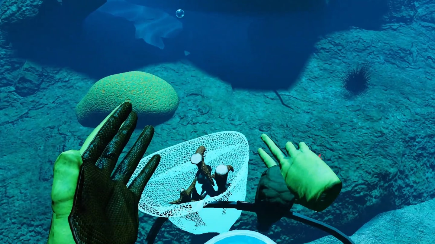 #3. How to Rescue a Reef LITE (Meta) Podle: Rescue a Reef program