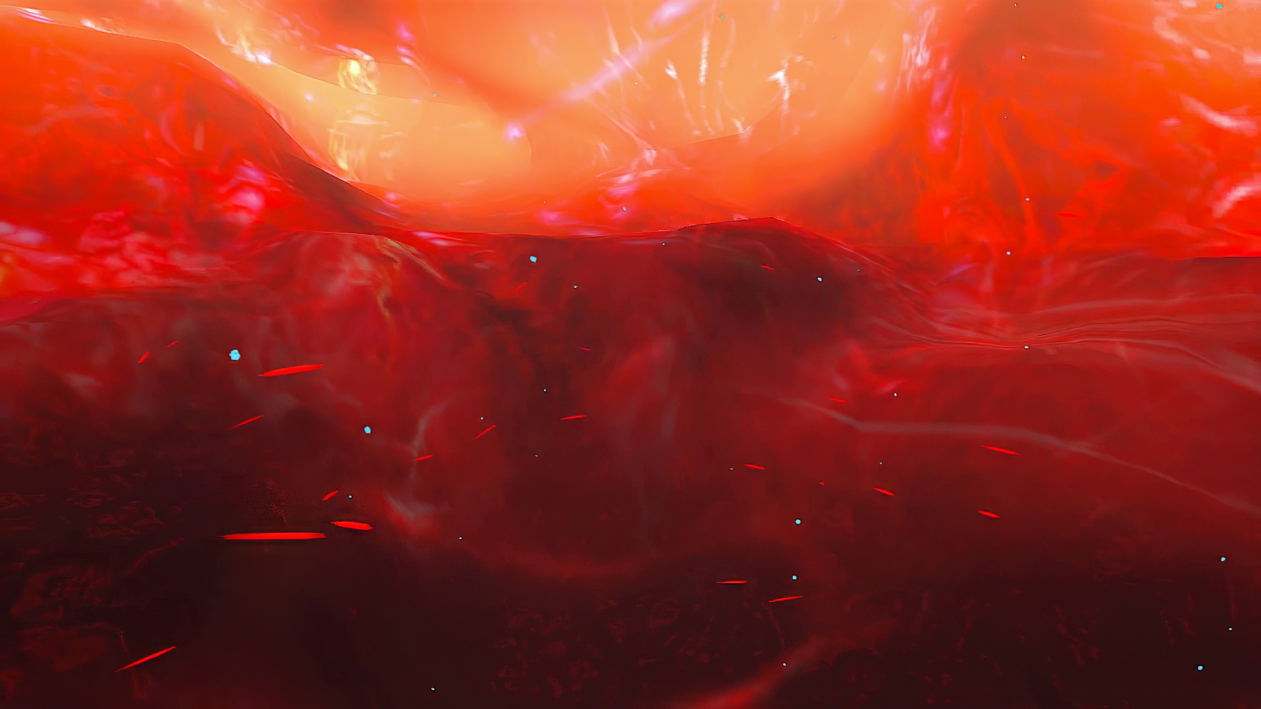 {"height":1440,"type":"image","width":2560}