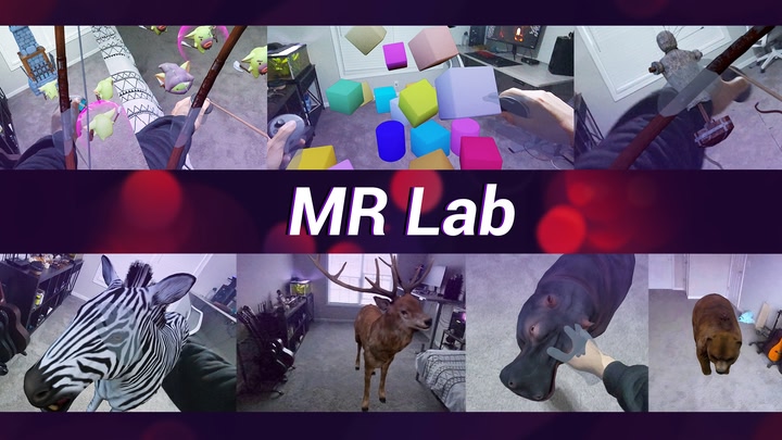 MRLab