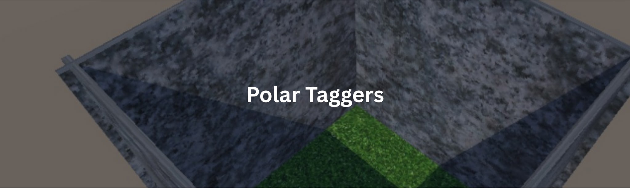 Polar Taggers