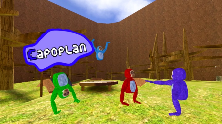 Capoplan