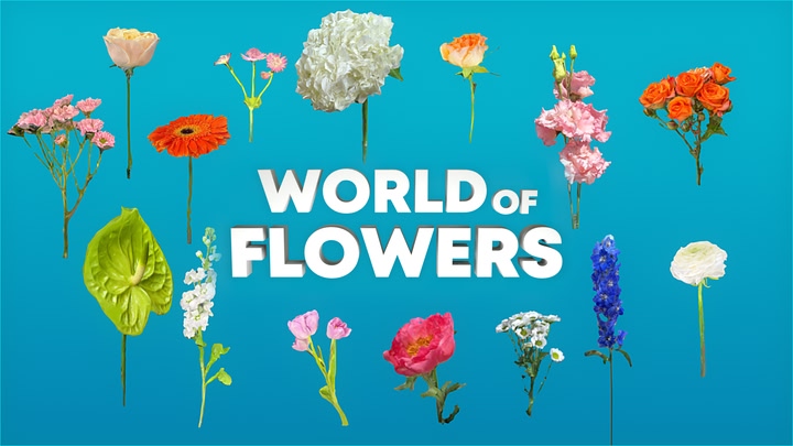 World of Flowers