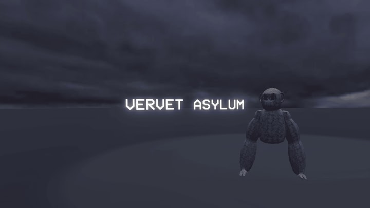 Vervet Asylum