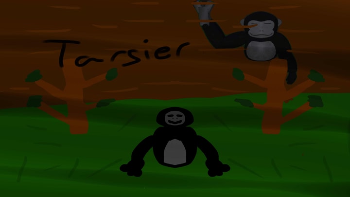 Tarsier