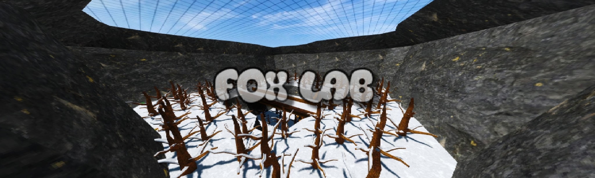 Fox Lab