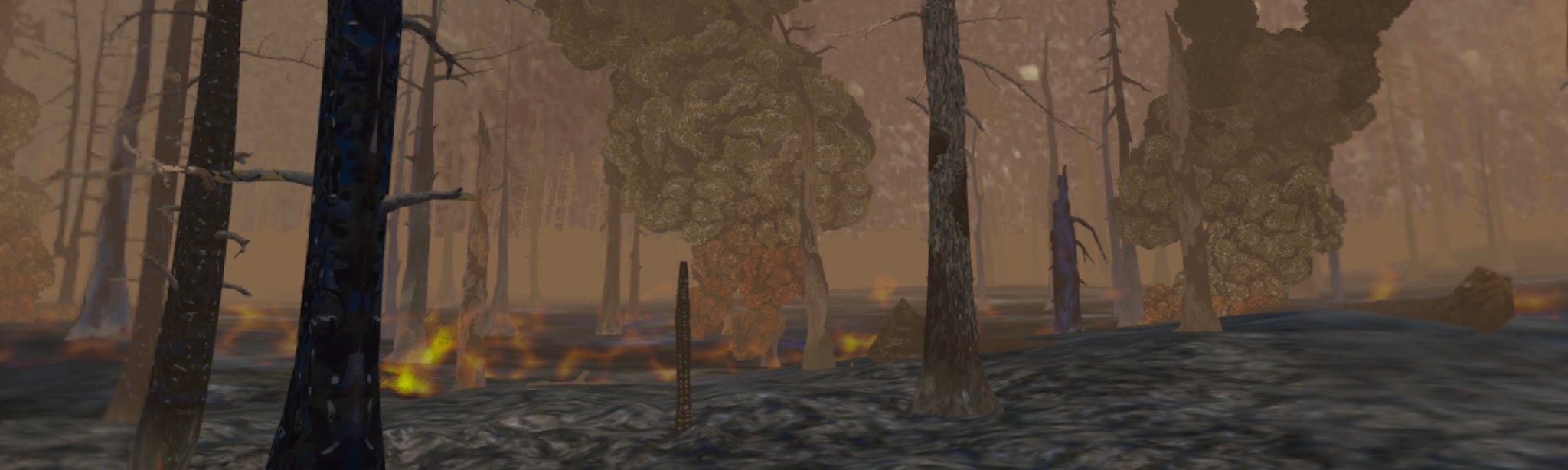 Forest Fire Regrowth