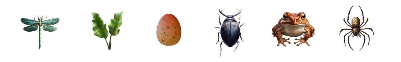 {"height":200,"type":"image","width":1280}