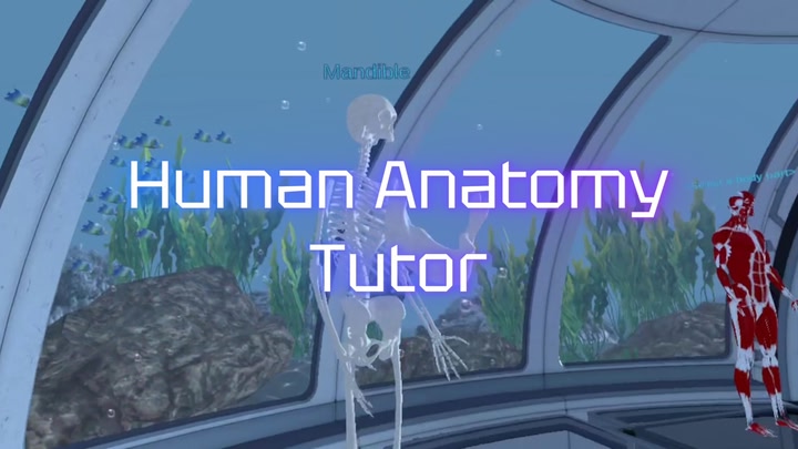 Human Anatomy Tutor