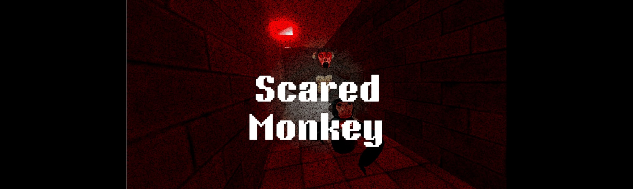 Scared Monkey