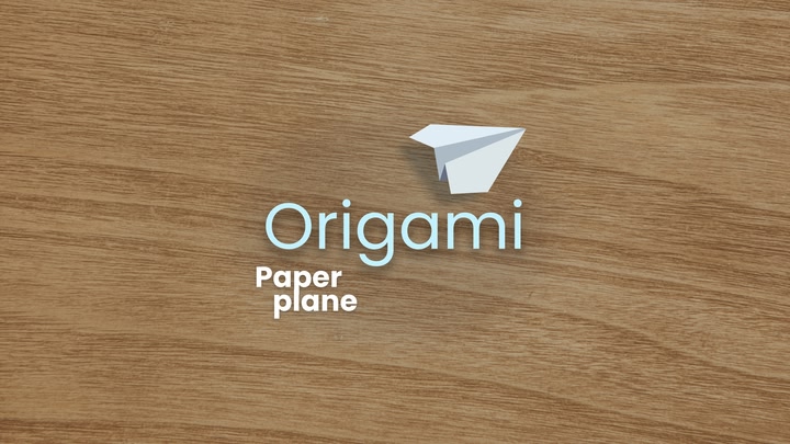 Origami Paper Plane