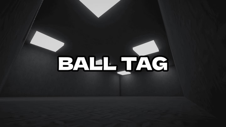 Ball Tag VR