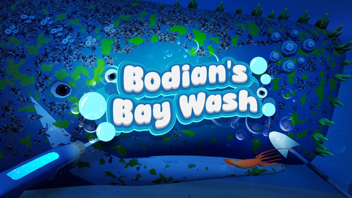 Bodians Bay Wash