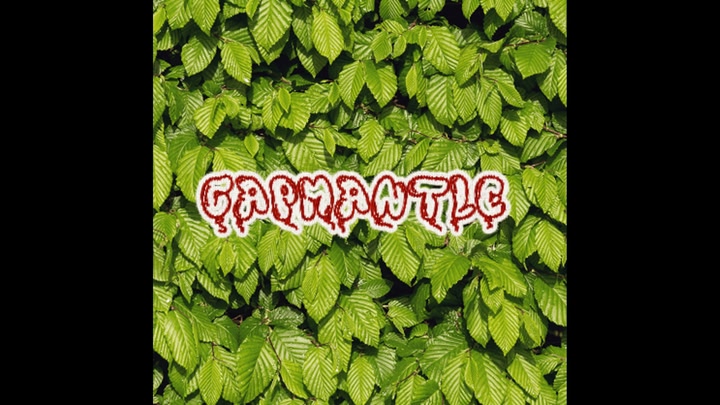 Capmantle V2