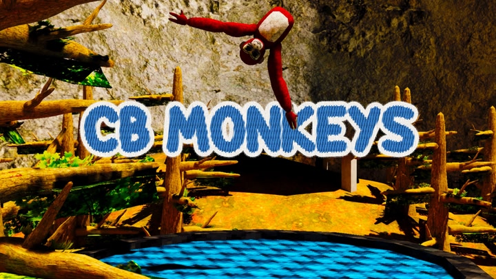 Cb monkeys
