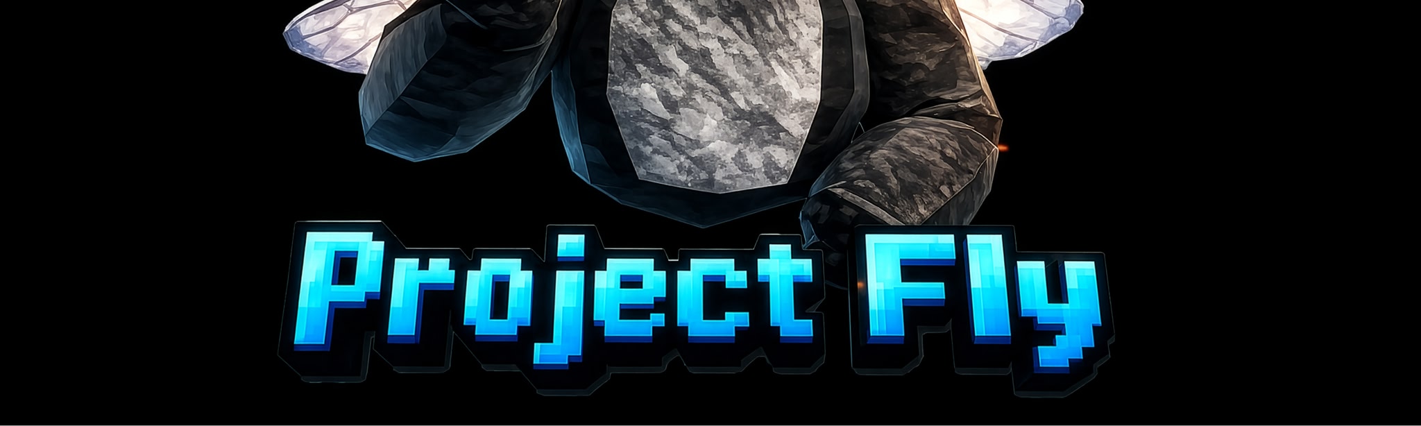 Project Fly