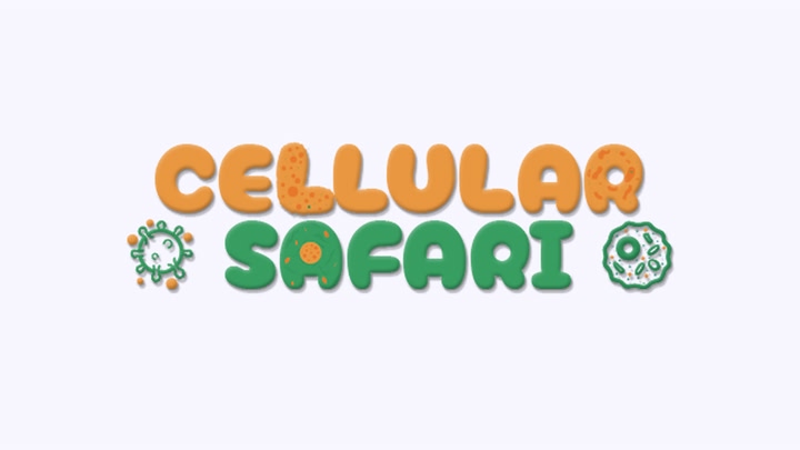 Cellular Safari