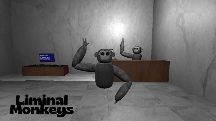 Liminal Monkeys