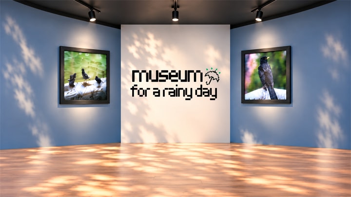 Museum For A Rainy Day