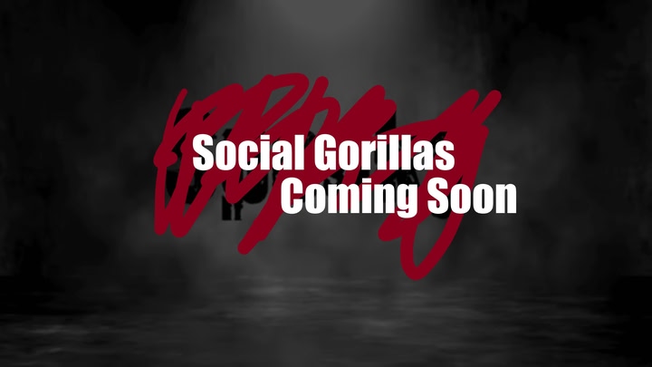 Social Gorillas