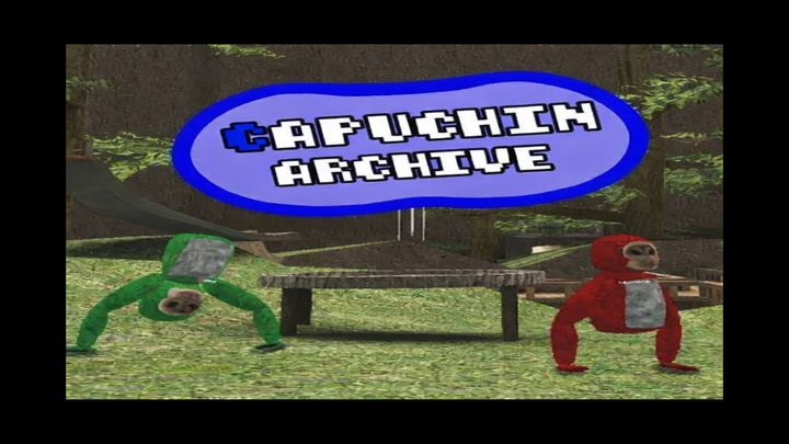 Capuchin Archive