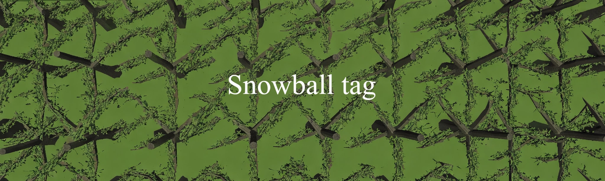 Snowball tag