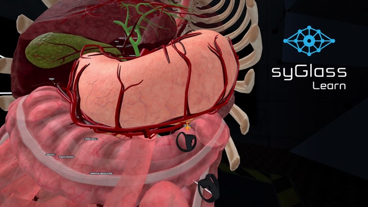 syGlass Learn